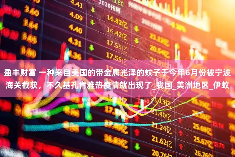 盈丰财富 一种来自美国的带金属光泽的蚊子于今年6月份被宁波海关截获，不久基孔肯雅热疫情就出现了_我国_美洲地区_伊蚊